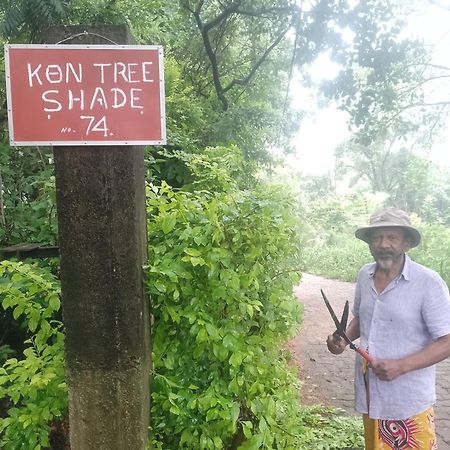 丹不拉Kon Tree Shade公寓 外观 照片