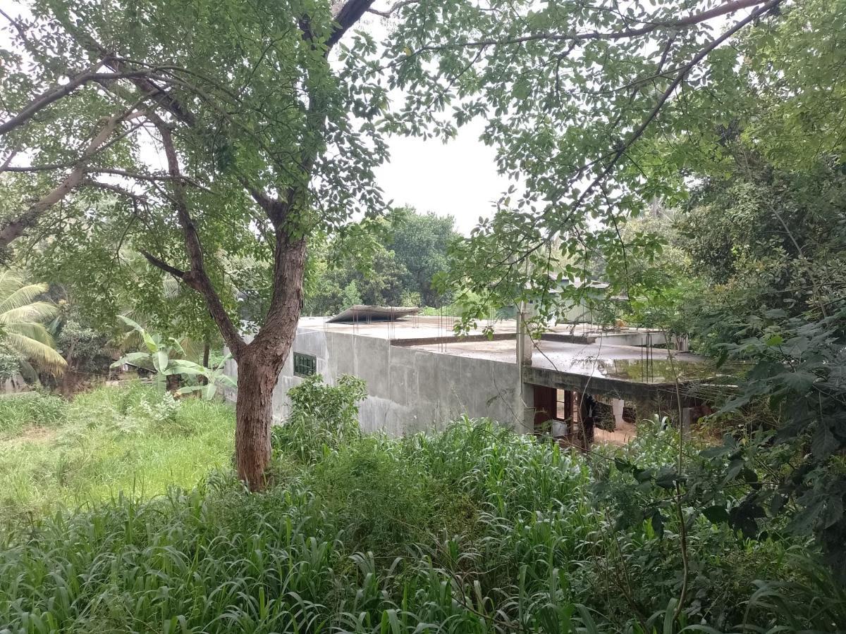 丹不拉Kon Tree Shade公寓 外观 照片