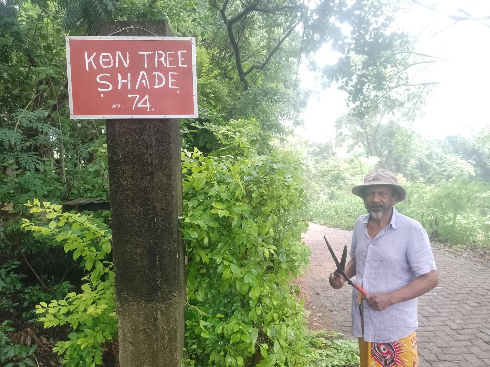 丹不拉Kon Tree Shade公寓 外观 照片